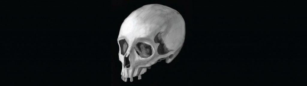 The Human Skull for the meaning of life article