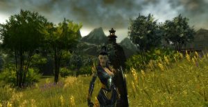 Guildwars1 Scenic Character